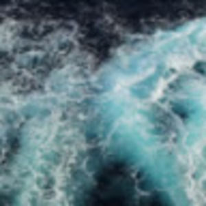 Meet your Posher, Amelie